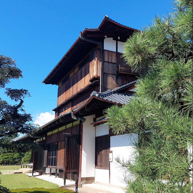 京都的歷史與文化遺產的魅力✨ 二條城🏯
