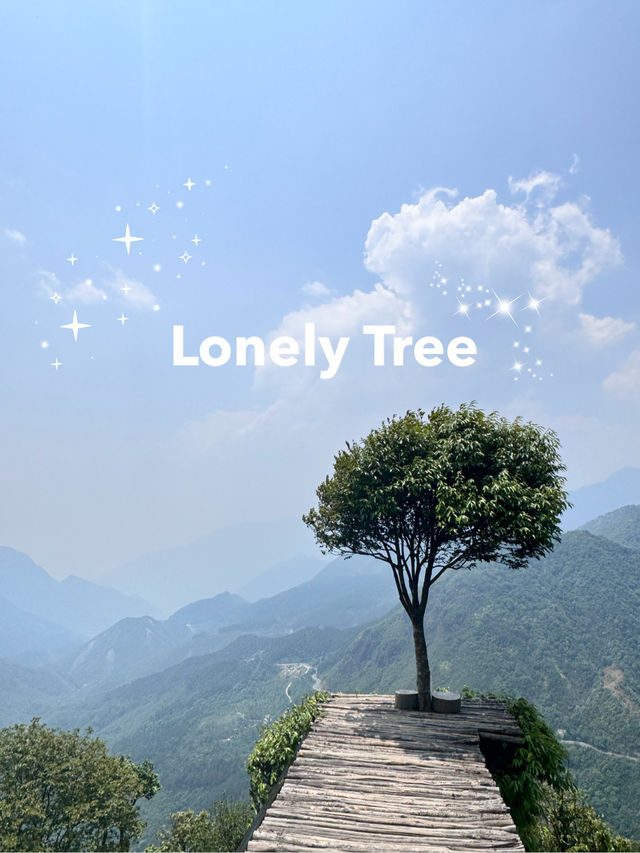 Lonely Tree 🌳