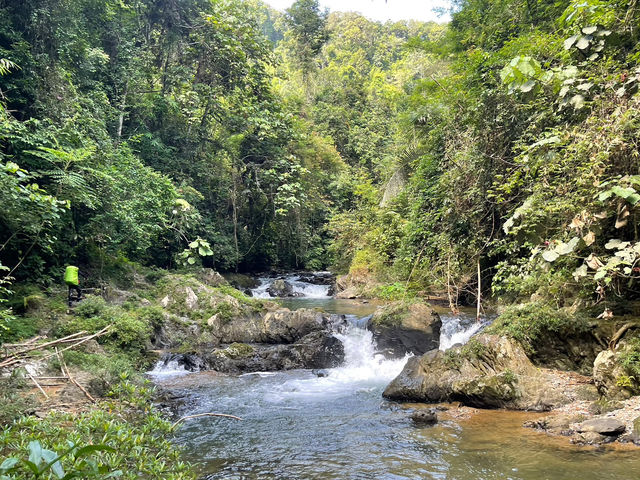 ประสบการณ์การเดินป่าใต้ | ระนอง🌳🏔️