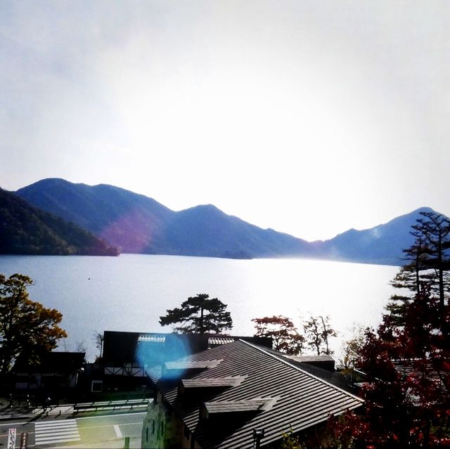 紅葉の季節になりました🍂