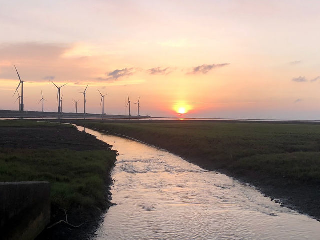 高美濕地✨絕佳日落觀賞景點🌅