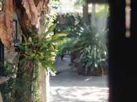 Wabi sabi. วะบิซะบิ • คาเฟ่เปิดใหม่ในเมืองอุบล