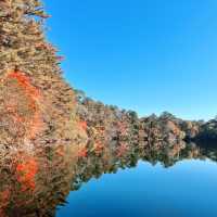 紅葉時期の五色沼