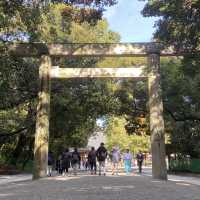 รีวิวสถานที่เที่ยว Minamishingusha 🇯🇵