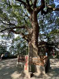 A Family Pilgrimage to Anxi Qing Shui Yan: Tranquility and Heritage in Quanzhou
