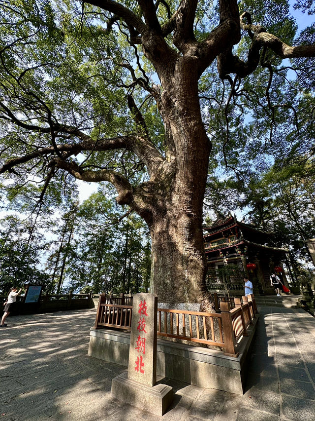 A Family Pilgrimage to Anxi Qing Shui Yan: Tranquility and Heritage in Quanzhou