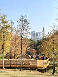 蓮花山公園-深圳市區最受歡迎公園，豐富的生態環境和多樣的景觀