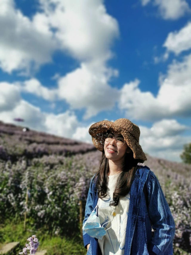 🥧 ไฮเดรนเยีย คาเฟ่ เขาค้อ