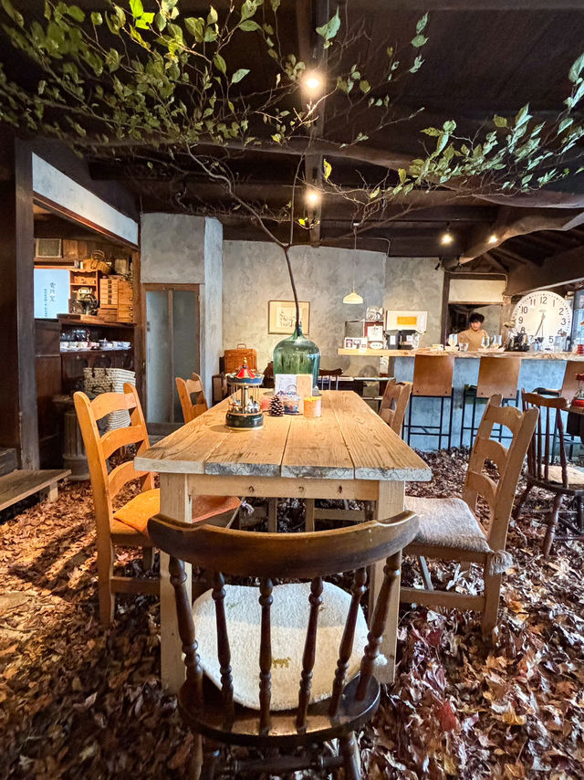 【福岡カフェ】落ち葉の絨毯が圧巻の素敵カフェ