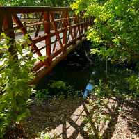 LADY BIRD LAKE HIKE AND BIKE TRAIL.