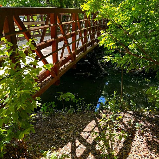 LADY BIRD LAKE HIKE AND BIKE TRAIL.