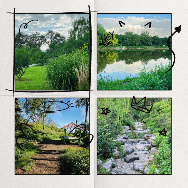 花柏山公園：悠閒秘境 🌳🌼