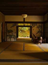 【ここ行って】全国でも珍しいドウダンツヅジの参道✨庭園も美しい超穴場の紅葉スポット🍁