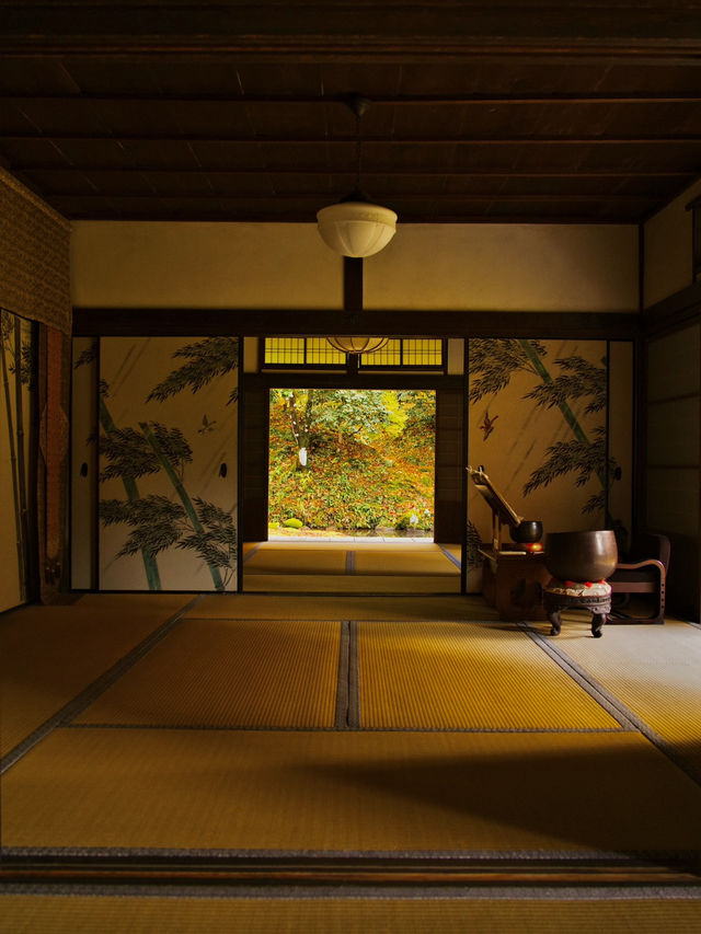 【ここ行って】全国でも珍しいドウダンツヅジの参道✨庭園も美しい超穴場の紅葉スポット🍁