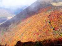 【大分県】くじゅう連山でもっとも美しい紅葉！大船山
