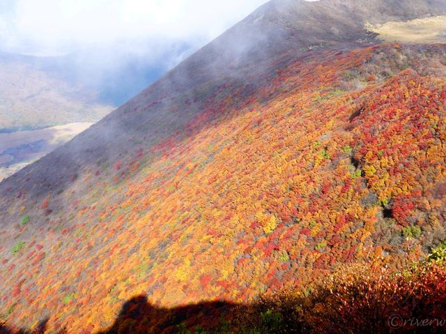 【大分県】くじゅう連山でもっとも美しい紅葉！大船山
