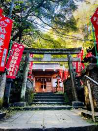 【神奈川県/鎌倉　白狐の置物がたくさん並ぶ神秘的な場所『佐助稲荷神社』】