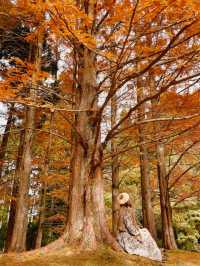 奈良観光🌳 室生山上公園芸術の森🌳絵本のような世界観が素敵☺️✨