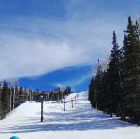 Explore the scenic winter view at Flagstaff Arizona 