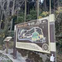 공원 데이트 어떠세요!?