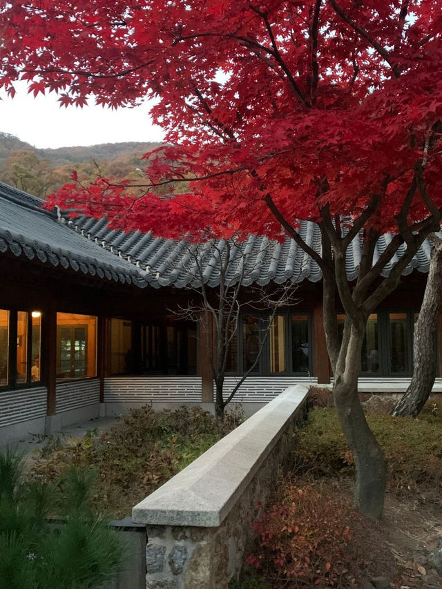 경기 광주여행