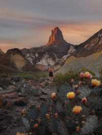 Exploring National Parks in Texas: A 2-Week Adventure