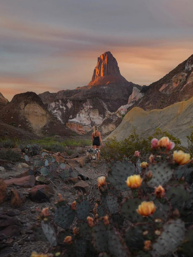 Exploring National Parks in Texas: A 2-Week Adventure