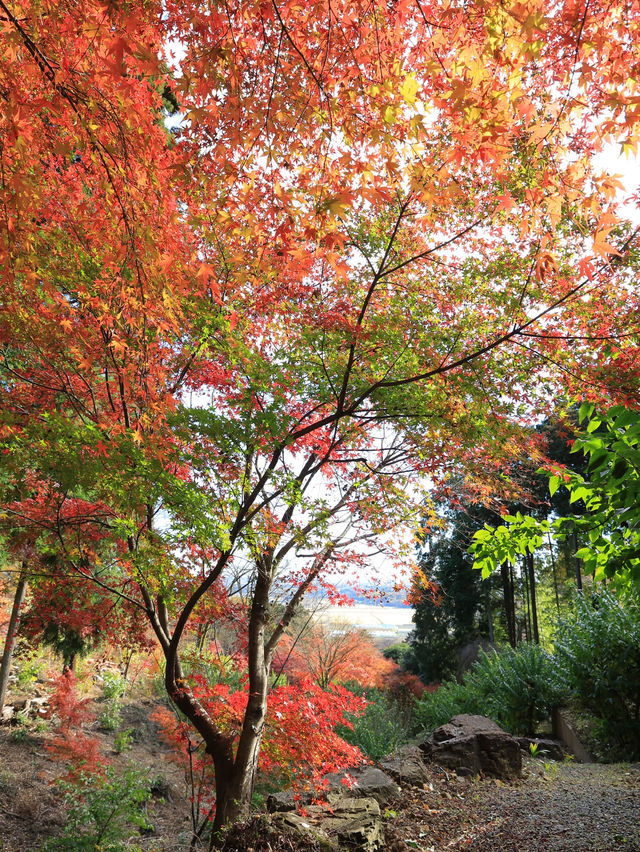 📍 【栃木】紅葉が素晴らしいお寺