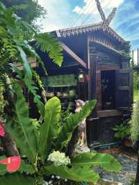 Flavors of Thailand: A Journey Through Saiyut & Doctor Sai Kitchen