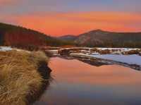 Winter Wonderland: Snow Has Arrived in Truckee, California