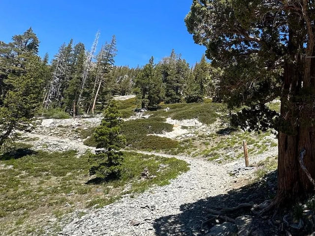 Exploring Desolation Wilderness: Your Guide to California’s Backcountry Paradise
