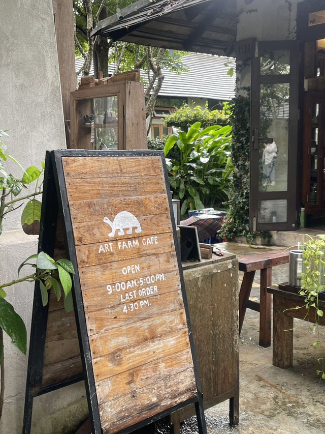 Art Farm Studio 🐢