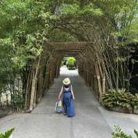泰國蘇美島 peace resort