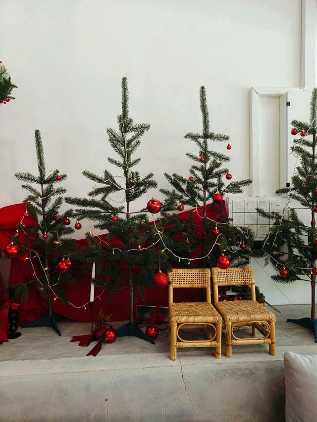 Christmas Delights and Cozy Corners at 2046 Cafe