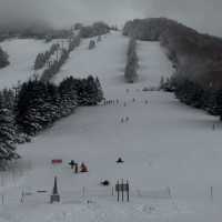 Winter Ski in Shiga Kogen Japan