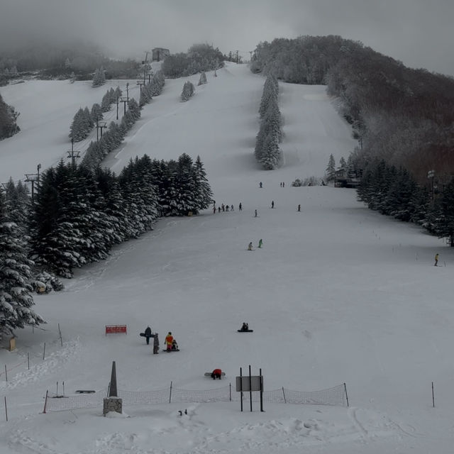 Winter Ski in Shiga Kogen Japan
