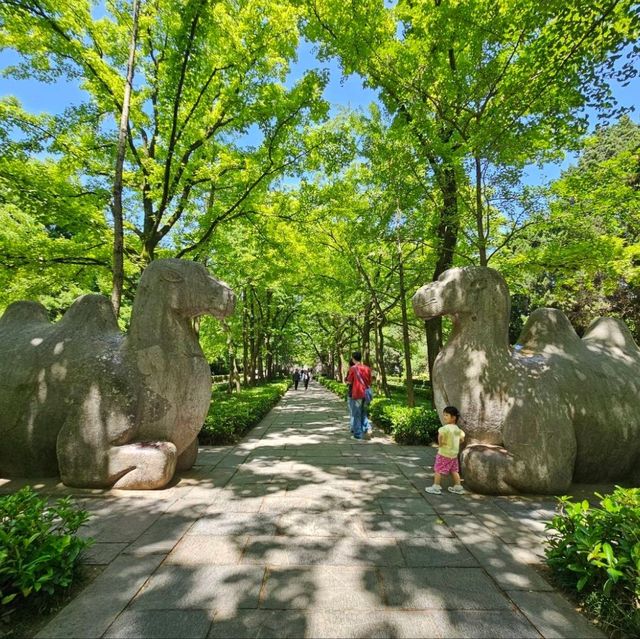 欣賞南京世界文化遺產-明孝陵