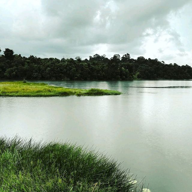 MacRitchie Reservoir Park