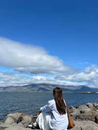 冰島市區Reykjavik City Walk打卡大全！🇮🇸