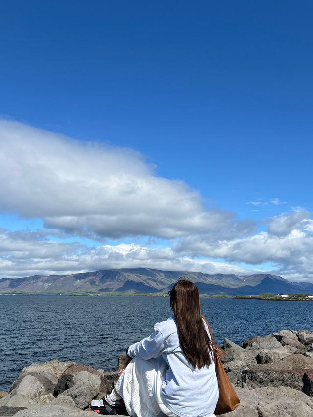 冰島市區Reykjavik City Walk打卡大全！🇮🇸