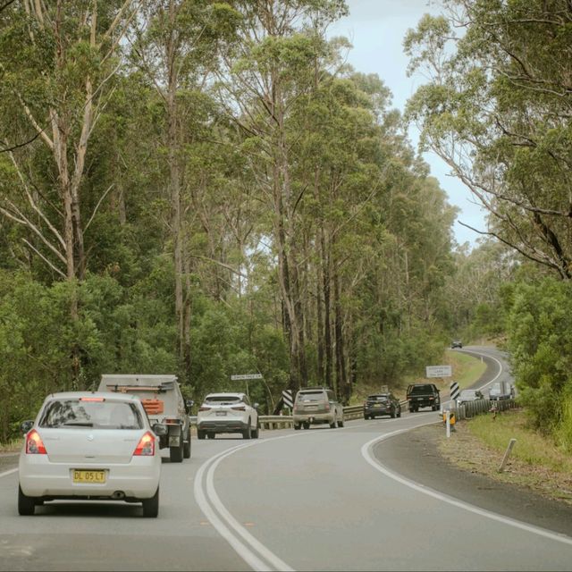 road trip from melb to sydney