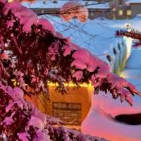 China Snow Town หมู่บ้านหิมะ 中国雪乡