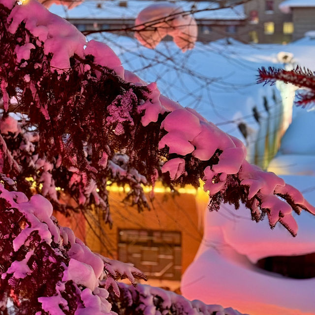 China Snow Town หมู่บ้านหิมะ 中国雪乡