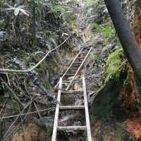 Hike to the top of Mount Ophir aka Gunung Ledang