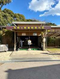 【吉野ヶ里歴史公園】