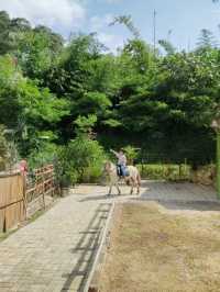 A Delightful Visit to Wisata Bukit Domba