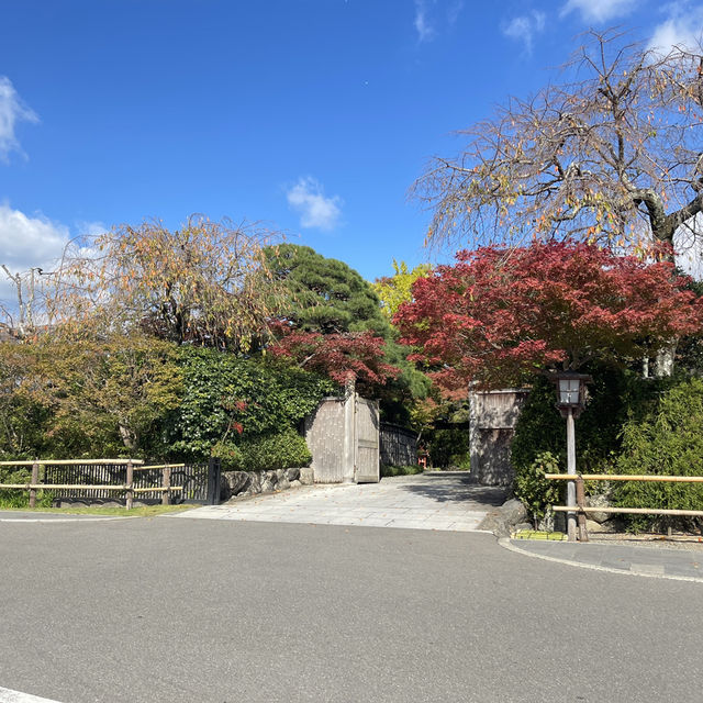 🌄✨ 探索京都的自然奇觀——嵐山渡月橋！