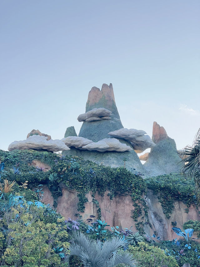 【ディズニーシー】緊急速報✼ディズニーシーからのお知らせです‎🤍ついに!!パスなしで!!