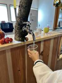 【長野】話題の新スポット🍎リンゴ農園×ピクニック🧺