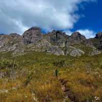 Tasmania is a treasure trove 